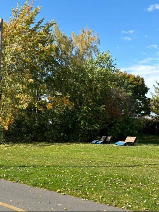 Cozy Spacious Work Friendly Lotus With Garden View High Speed Free Wi Fi And Parking Adjacent To Downtown מונטריאול מראה חיצוני תמונה